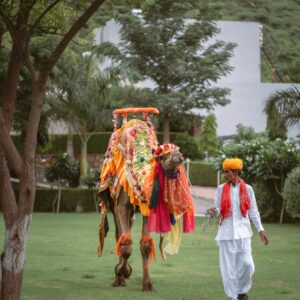 Traavista Aravali Mahal - Udaipur - Image 8