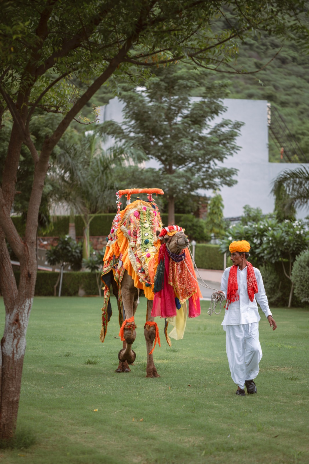 Traavista Aravali Mahal - Udaipur - Image 8